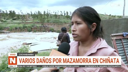 Reportan muerte de más de 5 mil pollos tras la mazamorra