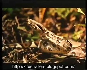 Un Indien dans la ville Bande-annonce (ES)