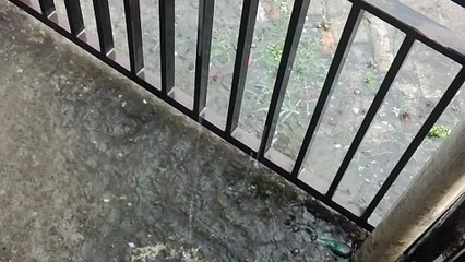 Water as the Source of Life 36