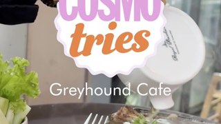 Cosmo Tries Greyhound Cafe