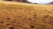 Unveiling the Enigmatic Deserts_ Namibia's Fairy Circles Explained