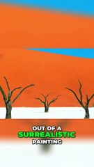 Discover the Surreal Beauty of Namib Desert's Dead Marsh