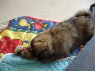 Avec ma chaussette congelée!