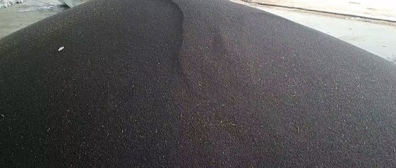 न्यूनतम समर्थन मूल्य पर सरसों व चना खरीद की तैयारियां