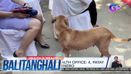 Albay Prov'l Health Office: 4, Patay sa rabies mula Enero | BT