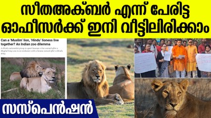 ഇതെന്ത് വിധി! സിംഹങ്ങള്‍ക്ക് സീത, അക്ബര്‍ പേരുകളിട്ട IFS ഓഫീസർക്ക് സസ്പെന്‍ഷന്‍