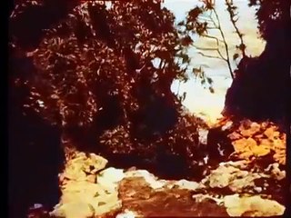 Hawaii: The Paradise of the Pacific (1916) |  Colorized Movie of Public Domain Movies