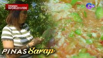 Ampalaya farm sa Floridablanca, Pampanga, dinayo ni Kara David!| Pinas Sarap