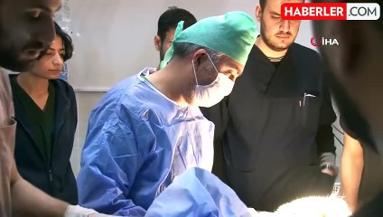 10 yaşındaki köpek Fındık'ın idrar kesesinden 8 santimlik taş çıkarıldı