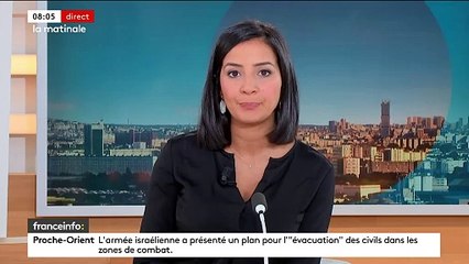 En cas de violences, de vol ou d'escroquerie notamment, il sera désormais possible de déposer une plainte à distance, sans que cette visioplainte soit pour autant obligatoire, selon un décret paru au Journal officiel - VIDEO