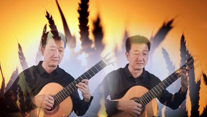 Hydrangea-Classical Guitar Duo