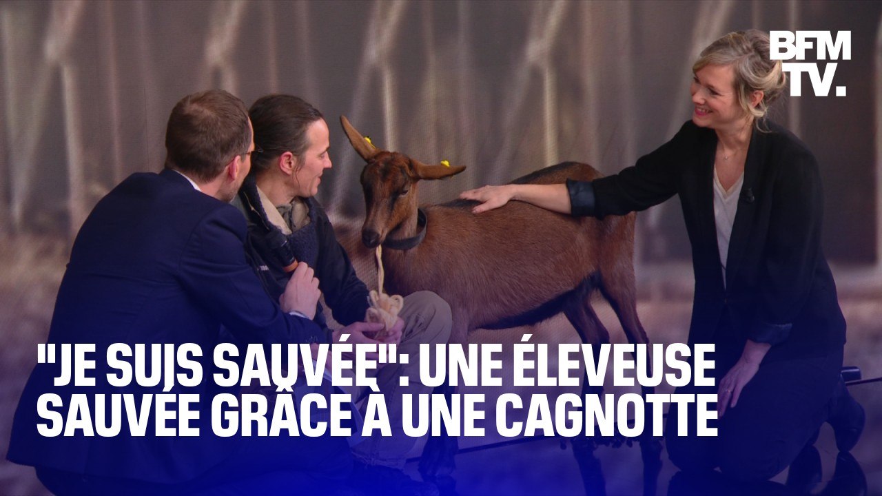 "Je suis sauvée": Delphine Serreau, une éleveuse de chèvres endettée, sauve son exploitation grâce à une cagnotte