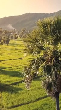 Joyau de poterie et rizières a perte de vue : Kampong Chhnang au Cambodge