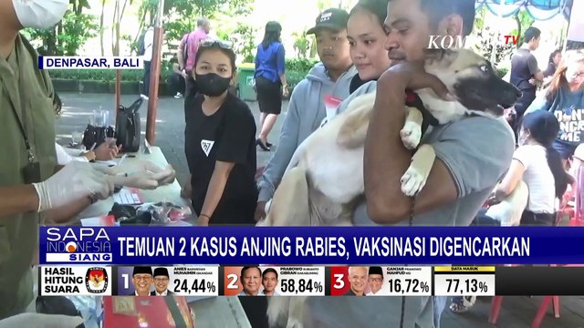 Temuan 2 Kasus Anjing Rabies, Vaksinasi Digencarkan di Denpasar Bali
