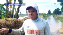 Banjir di Brebes, Petani: Takut Kebanjiran, Takut Enggak Makan