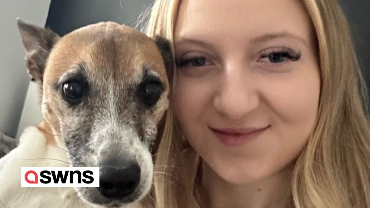 „Sprechender' Hund sagt den Namen der Besitzerin - sie ist begeistert