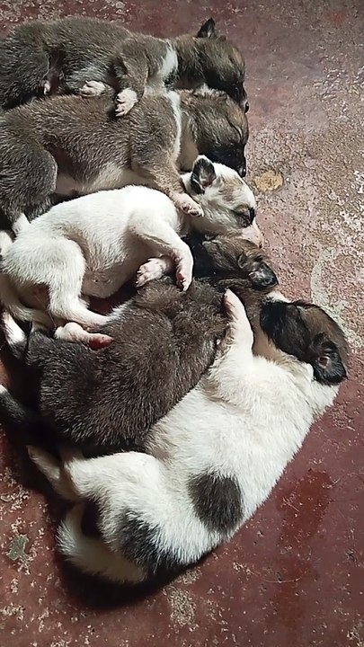 sleeping together 