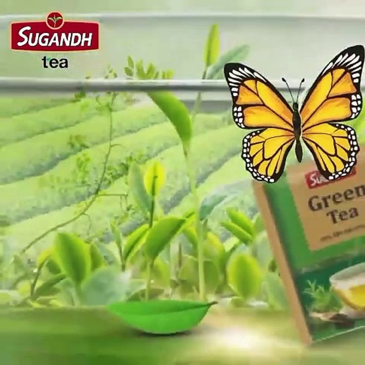 Creative Motion Graphics Video For Sugandh Tea