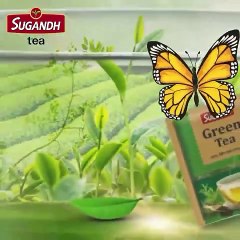 Creative Motion Graphics Video For Sugandh Tea