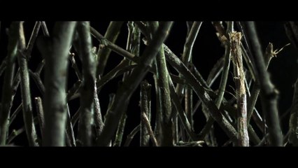 Stopmotion Movie Clip - A New Tale