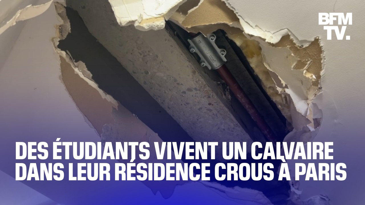 Insalubrité, cambriolages, squatteurs, voici ce que vivent des étudiants d'une résidence Crous