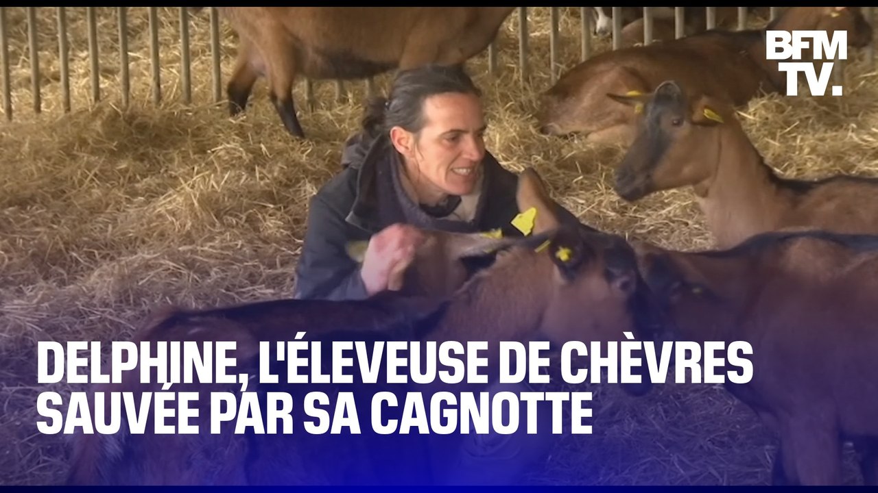 Delphine, l'éleveuse de chèvres sauvée grâce à sa cagnotte