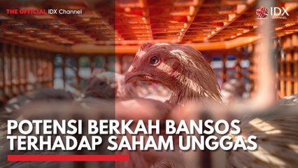 Potensi Berkah Bansos Terhadap Saham Unggas