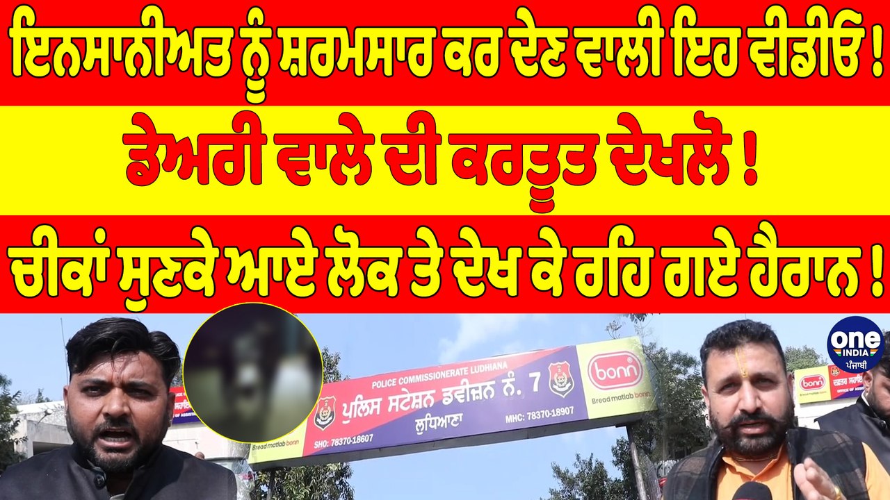 ਇਨਸਾਨੀਅਤ ਨੂੰ ਸ਼ਰਮਸਾਰ ਕਰ ਦੇਣ ਵਾਲੀ ਇਹ ਵੀਡੀਓ! ਡੇਅਰੀ ਵਾਲੇ ਦੀ ਕਰਤੂਤ ਦੇਖਲੋ! |OneIndia Punjabi