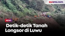 Warga Terkubur Hidup-hidup Saat Rekam Detik-detik Tanah Longsor di Luwu