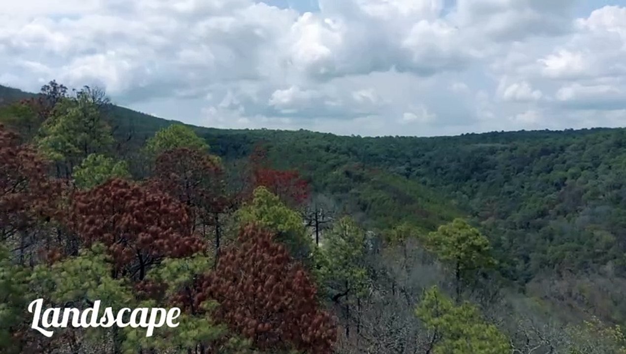Natural Landscape view