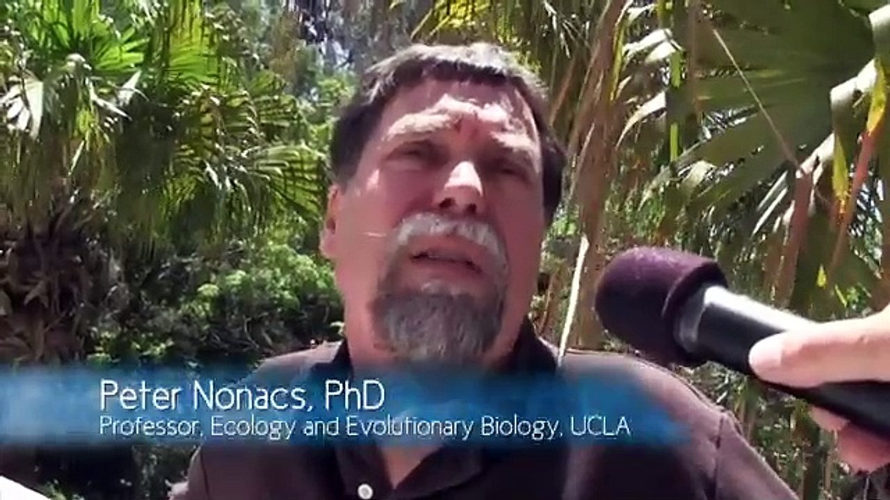 Evolución vs Dios - Documental
