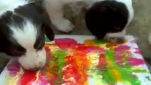 Pups at Jerry Green Dog Rescue create art for Paw-Trait Gallery