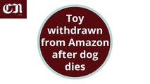 Puppy dies after chewing Amazon toy, owners claim