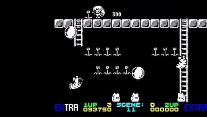 Rod Land - ZX Spectrum