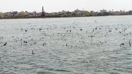 Weather News : 1 मार्च से एक और तीव्र पश्चिमी विक्षोभ सक्रिय होने से ऐसा रहेगा राजस्थान का मौसम