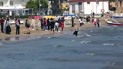 Mersin'e akın etti, zehir saçıyor: Sakın dokunmayın!