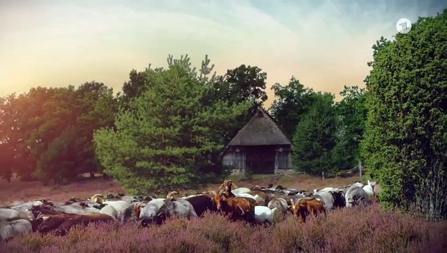 Rote Rosen 3930 folge