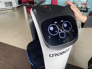 Emilie, le robot chat est la nouvelle nouvelle serveuse de ce restaurant de la Manche