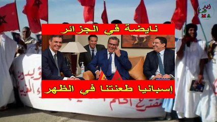 نايضة في الجزائر لهذا السبب، والصحافة تنفث سمومها تجاه المغرب