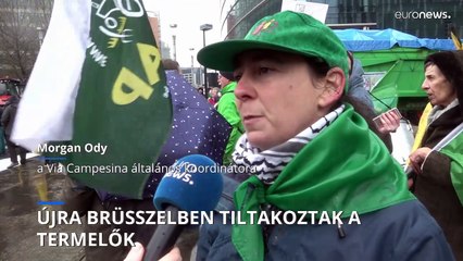 Újabb nagyszabású tiltakozás az EU mezőgazdasági politikájával szemben Brüsszelben