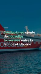 Corsica Linea ajoute de nouvelles traversées entre la France et l'Algérie
