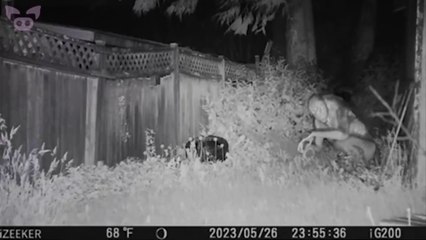 Scary Footage That’s Too Much to Handle