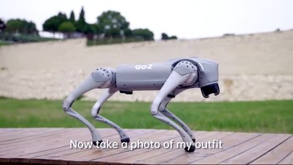 Now!!  You can Buy your Own Ai Powered Intelligent #Robotic Dog on  #Amazon