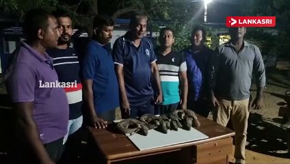 நான்கு உடும்புகளுடன் மூவர் பொலிசாரால் கைது