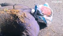 Agricultores queman muñecos de Pedro Sánchez y Planas