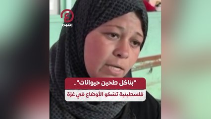 "بناكل طحين حيوانات".. فلسطينية تشكو الأوضاع في غزة