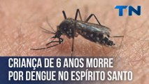 Criança de 6 anos morre por dengue no Espírito Santo