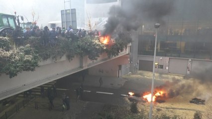 Agriculteurs en colère : près de 1000 tracteurs à Bruxelles, où les 27 travaillent sur un élagage de la PAC