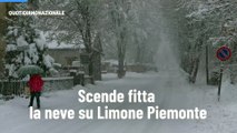 Scende fitta la neve su Limone Piemonte