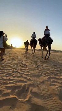 camel ride in desert safari dubai